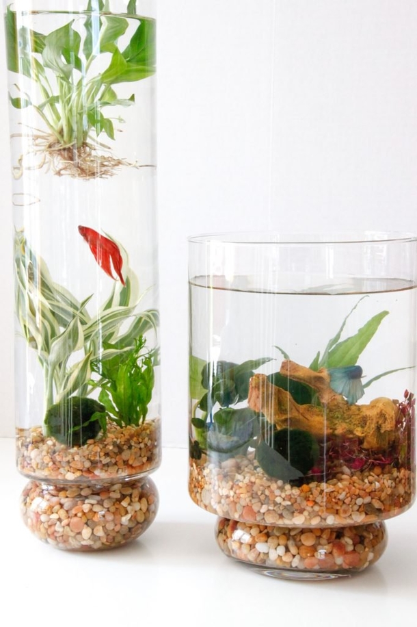 10 Indoor Garden Projects That Work In Any Space - picture 9
