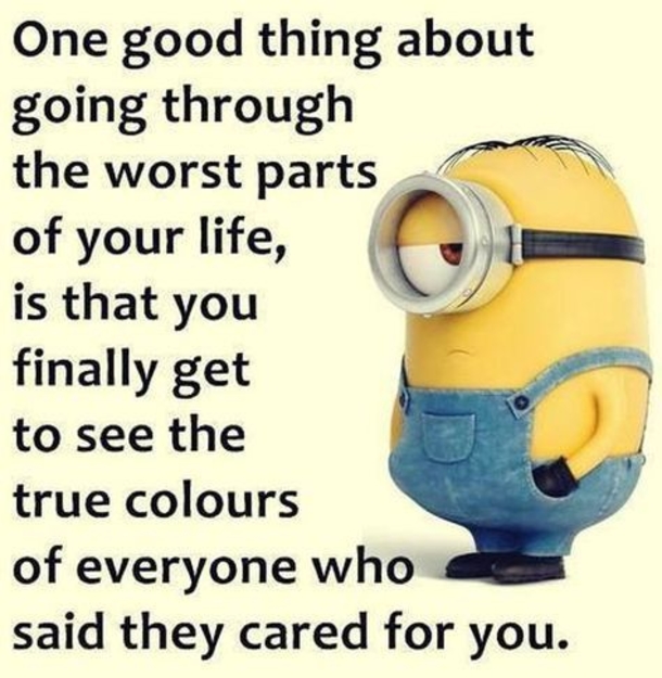 10 Insightful Minion Quotes About Life - picture 5