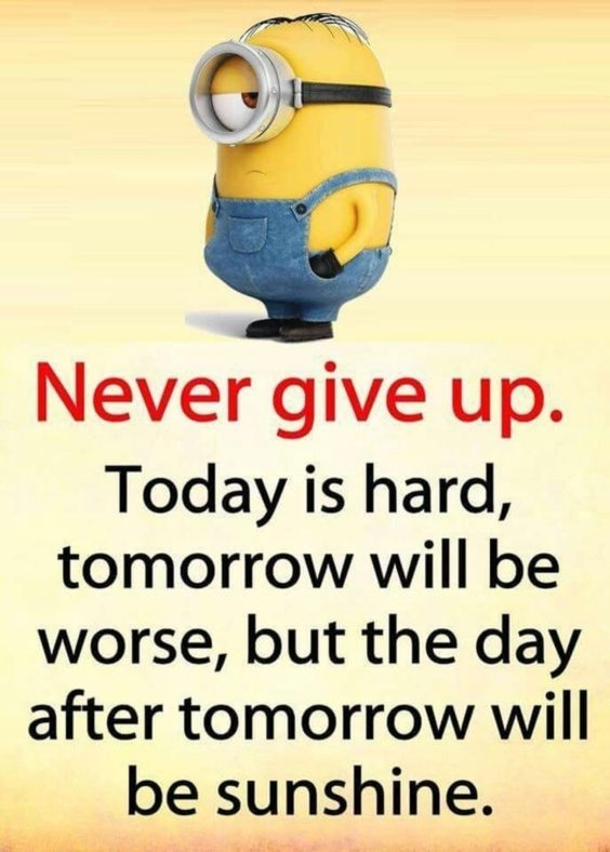 10 Insightful Minion Quotes About Life - picture 6