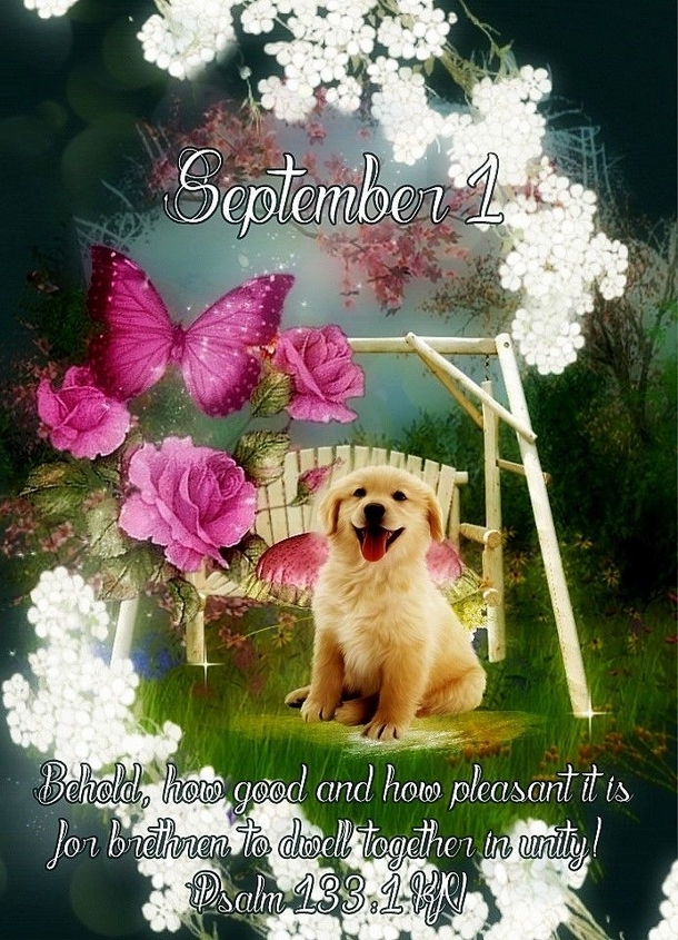 10 Inspirational Hello September Quotes To Bring Blessings To A Brand New Month - picture 9