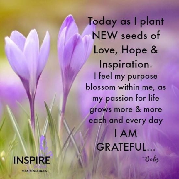 10 Inspirational Messages Of The Day - picture 10