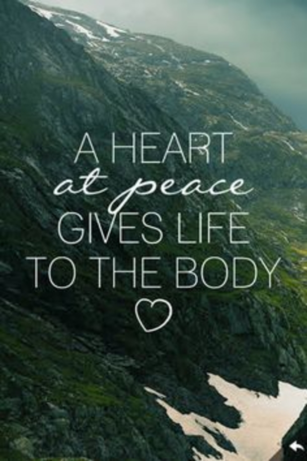 10 Inspirational Quotes About Peace In Life - picture 11