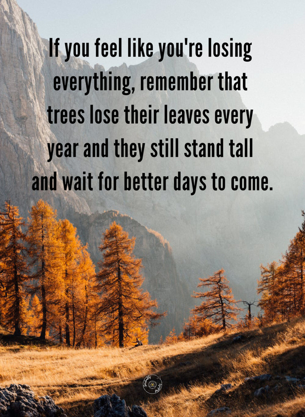 10+ Inspirational Quotes To Make Each Day A Powerful Day - picture 12