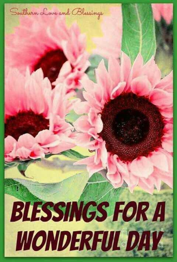 10 Inspirational Quotes To Start Your Blessed Day - picture 2