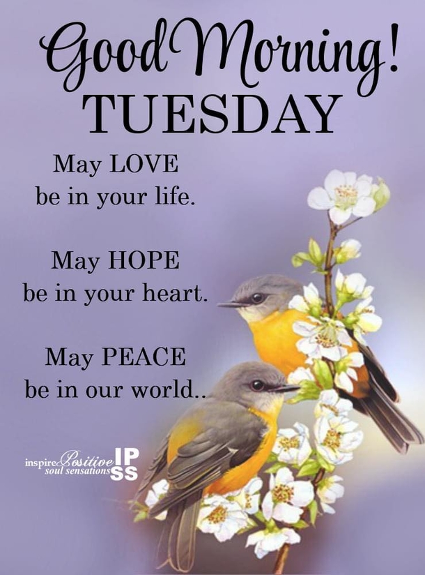 10 Inspirational Tuesday Quotes To Help You Get Through The Week - picture 2