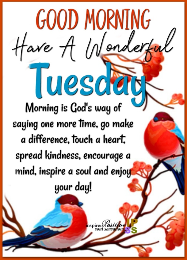 10 Inspirational Tuesday Quotes To Help You Get Through The Week - picture 9