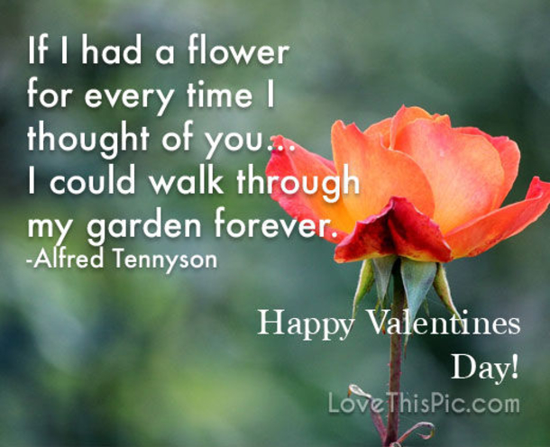 10 Inspirational Valentine's Day Wishes For Friends - picture 12