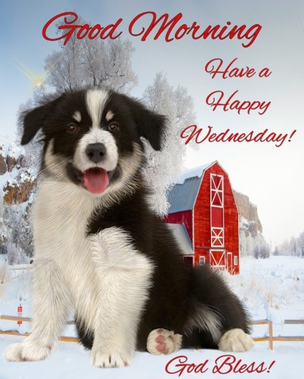 10 Inspired Good Morning Wednesday Quotes And Sayings - picture 11