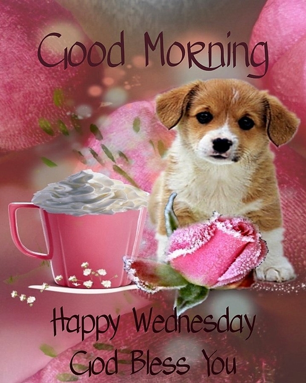 10 Inspired Good Morning Wednesday Quotes And Sayings - picture 3