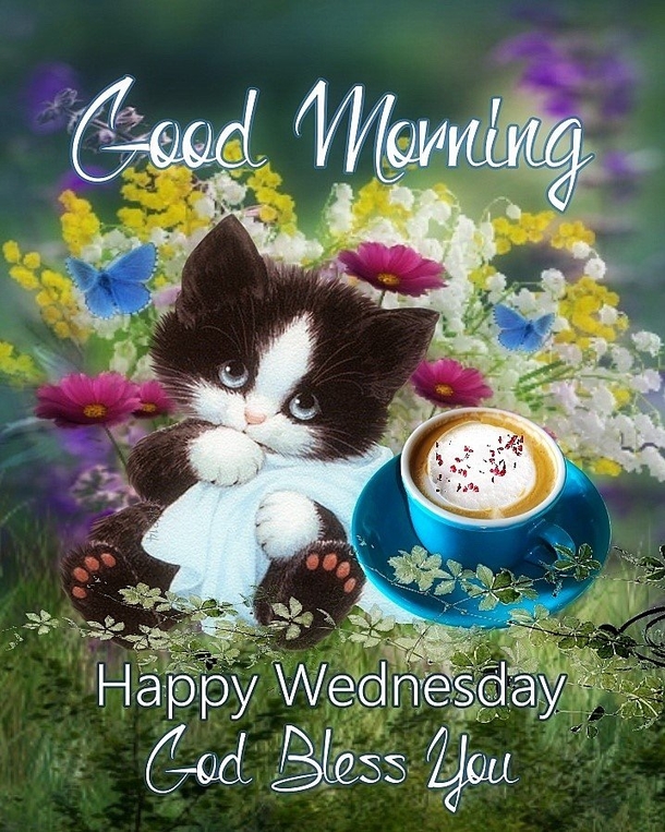 10 Inspired Good Morning Wednesday Quotes And Sayings - picture 4