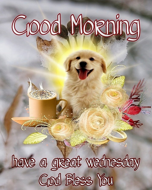 10 Inspired Good Morning Wednesday Quotes And Sayings - picture 9