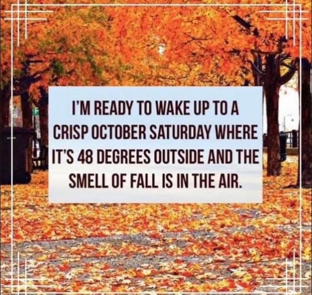 10 Inspiring Autumn Quotes To Welcome The Beauty Of Fall 2023 - picture 3