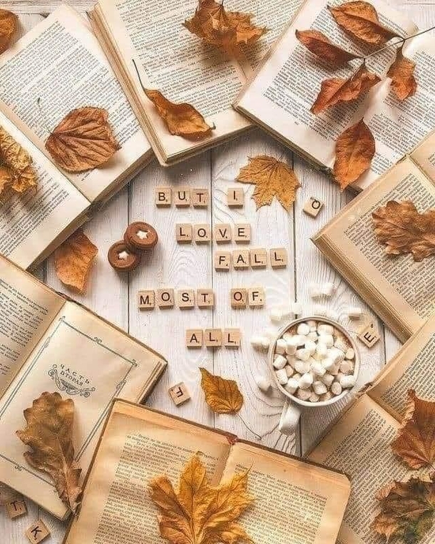 10 Inspiring Autumn Quotes To Welcome The Beauty Of Fall 2023 - picture 4