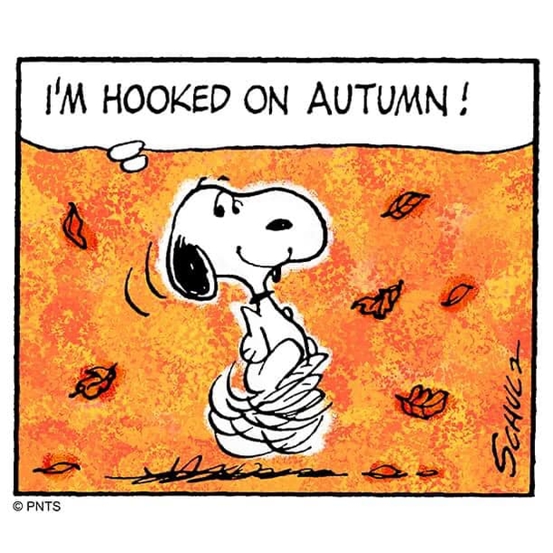 10 Inspiring Autumn Quotes To Welcome The Beauty Of Fall 2023 - picture 9