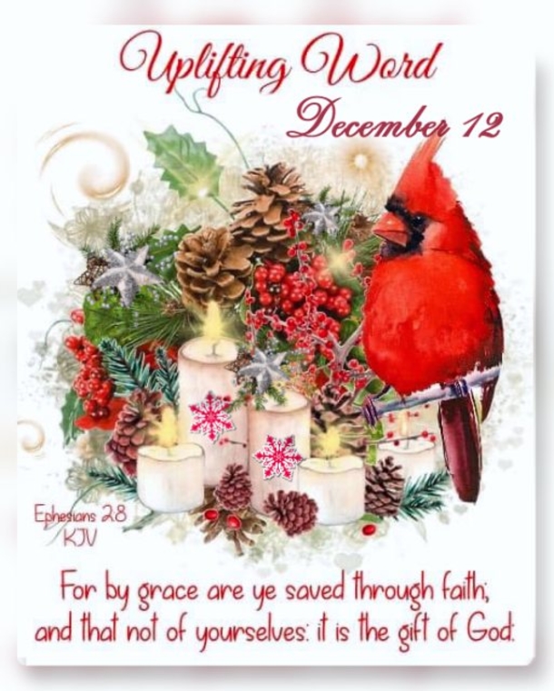 10 Inspiring December 12 Quotes For A Newly Blessed Day - picture 3