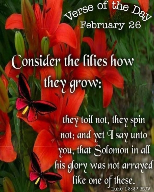 10 Inspiring February 26 Quotes To Start Your Day - picture 6