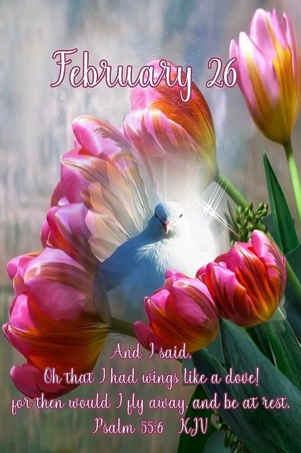 10 Inspiring February 26 Quotes To Start Your Day - picture 8