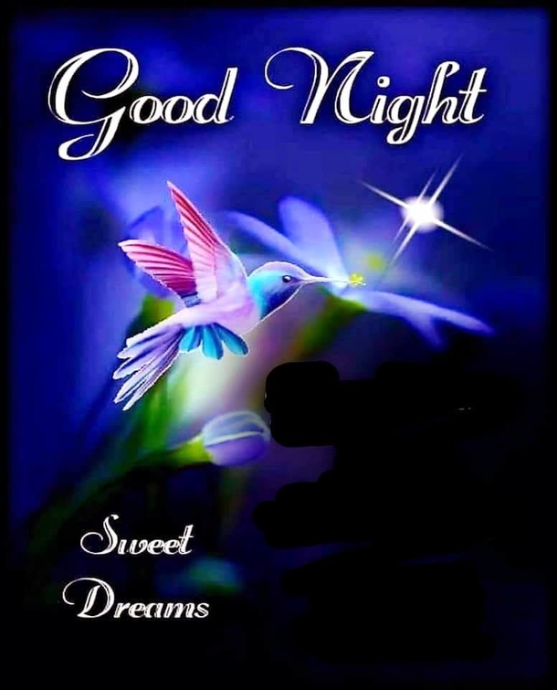 10 Inspiring Good Evening / Good Night Images, Quotes And Sayings - picture 11