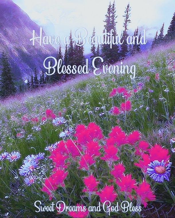 10 Inspiring Good Evening / Good Night Images, Quotes And Sayings - picture 3