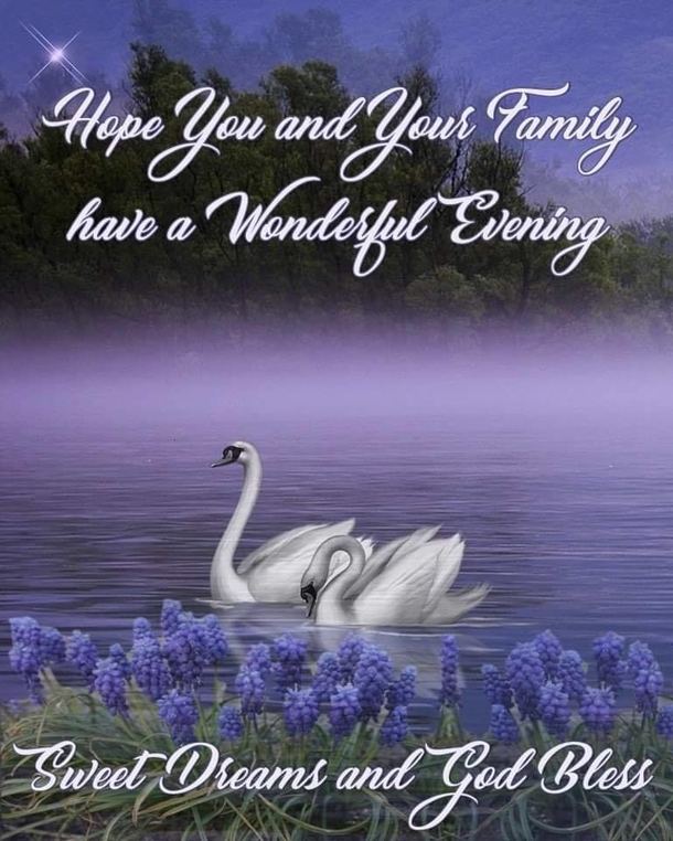 10 Inspiring Good Evening / Good Night Images, Quotes And Sayings - picture 5