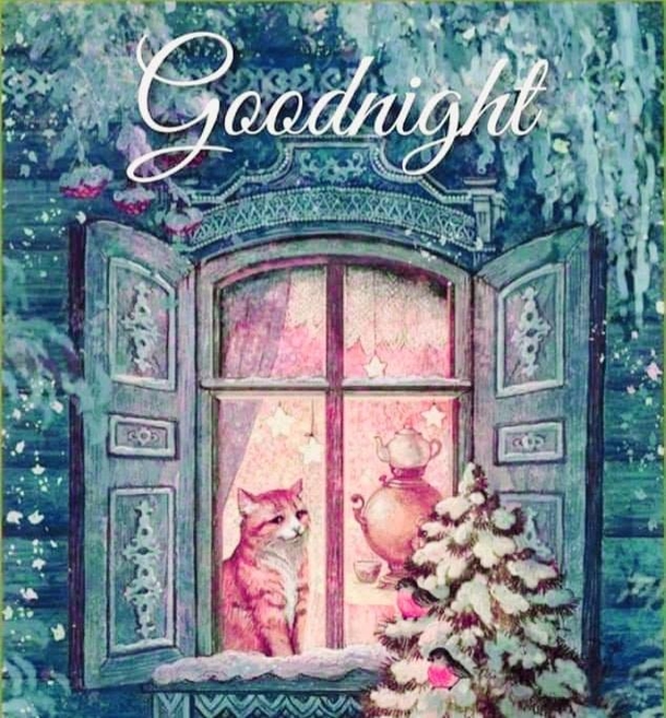 10 Inspiring Good Evening / Good Night Images, Quotes And Sayings - picture 8