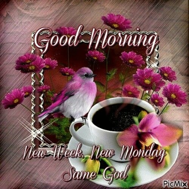 10 Inspiring Good Morning Happy Monday Images - picture 2
