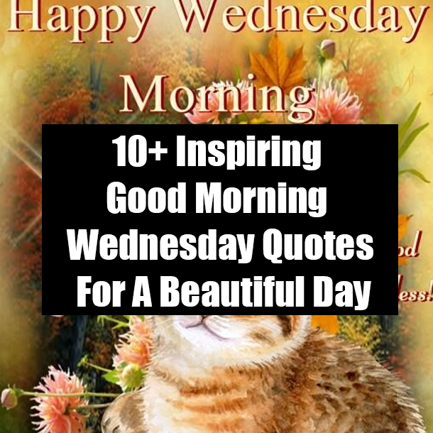 10+ Inspiring Good Morning Wednesday Quotes For A Beautiful Day