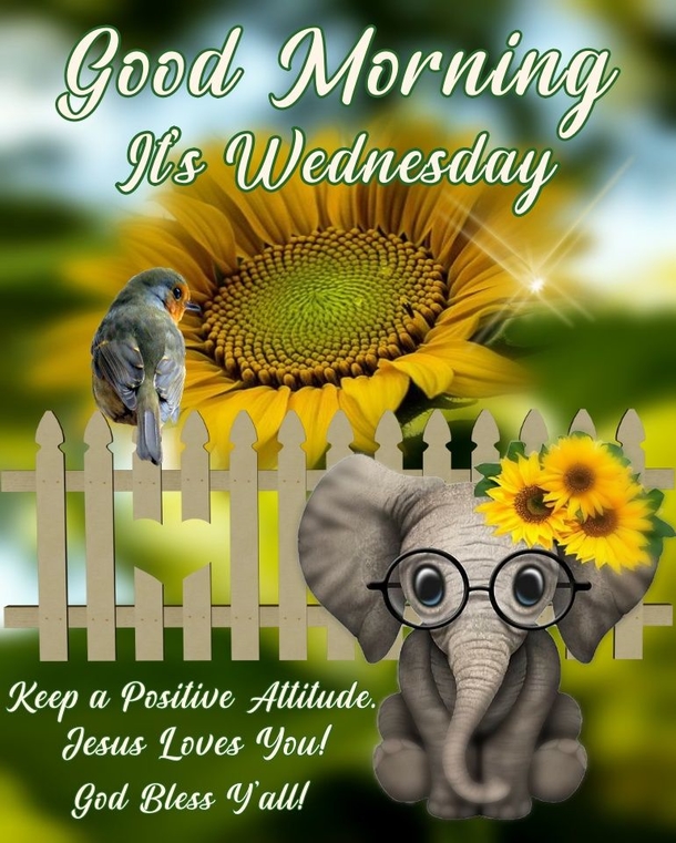 10+ Inspiring Good Morning Wednesday Quotes For A Beautiful Day - picture 10