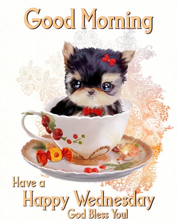 10+ Inspiring Good Morning Wednesday Quotes For A Beautiful Day - picture 11