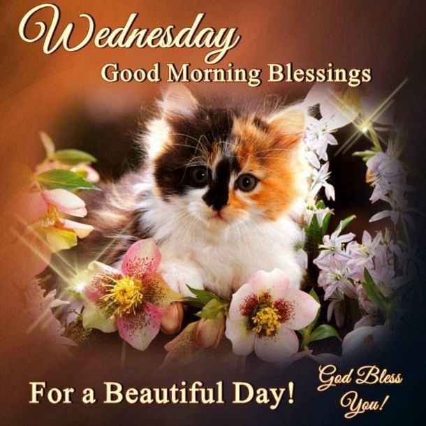 10+ Inspiring Good Morning Wednesday Quotes For A Beautiful Day - picture 13