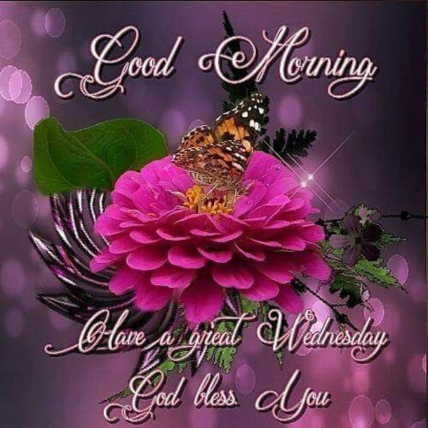 10+ Inspiring Good Morning Wednesday Quotes For A Beautiful Day - picture 14