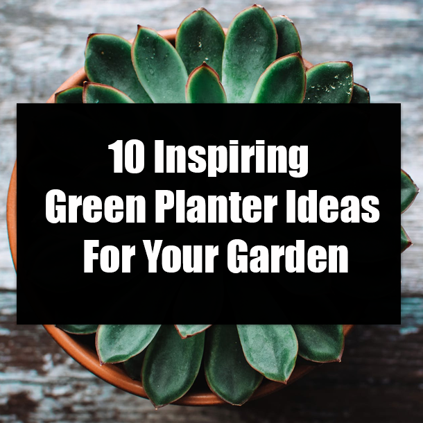 10 Inspiring Green Planter Ideas For Your Garden