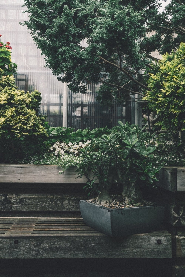 10 Inspiring Green Planter Ideas For Your Garden - picture 10