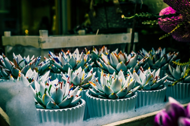10 Inspiring Green Planter Ideas For Your Garden - picture 2