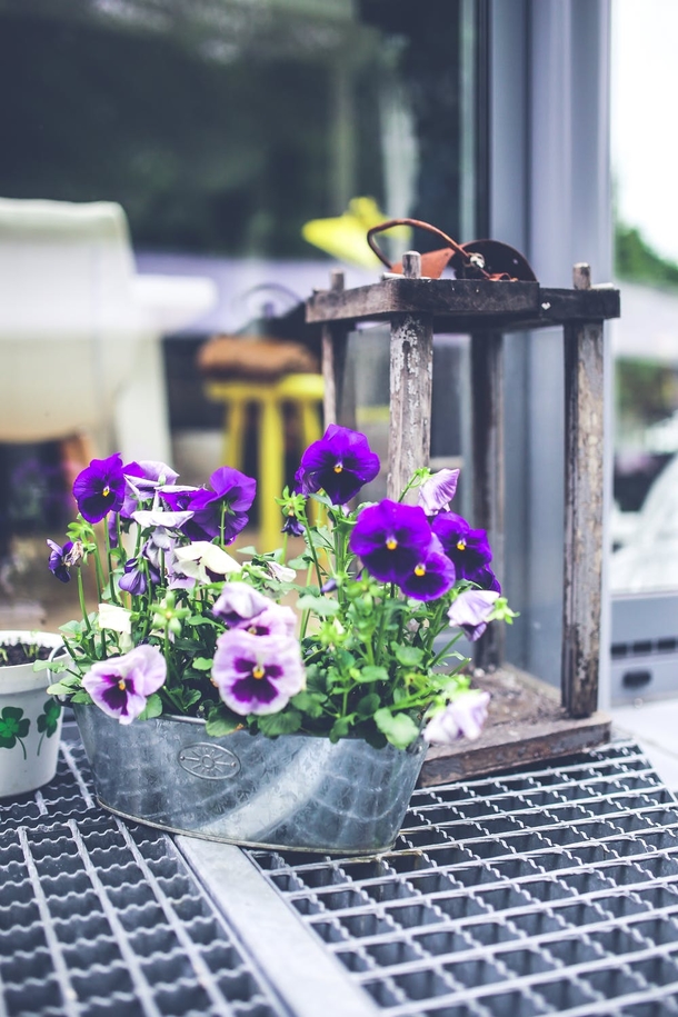 10 Inspiring Green Planter Ideas For Your Garden - picture 3