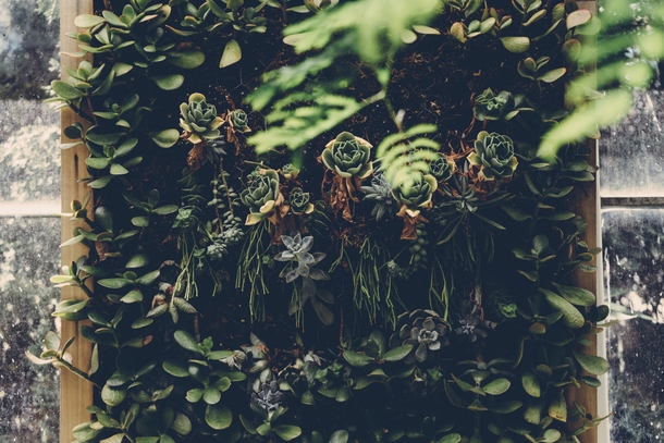 10 Inspiring Green Planter Ideas For Your Garden - picture 4