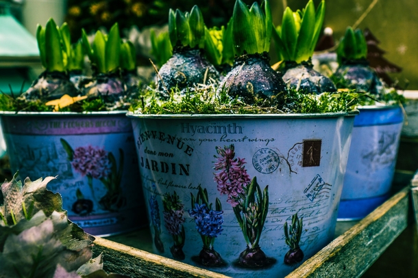 10 Inspiring Green Planter Ideas For Your Garden - picture 6