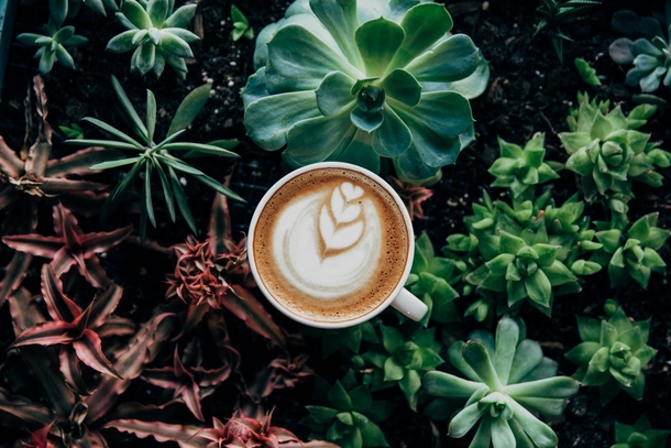 10 Inspiring Green Planter Ideas For Your Garden - picture 8