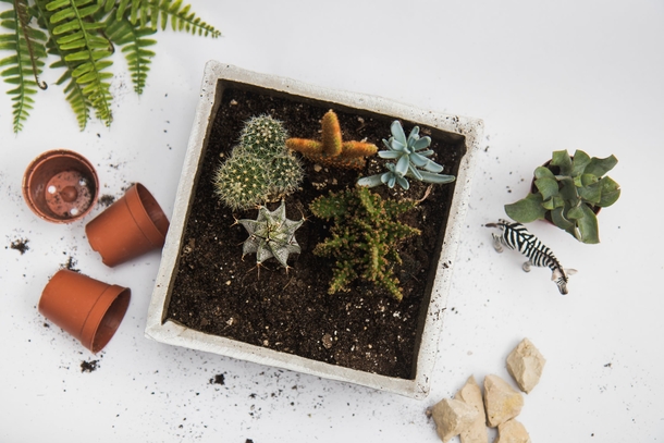 10 Inspiring Green Planter Ideas For Your Garden - picture 9