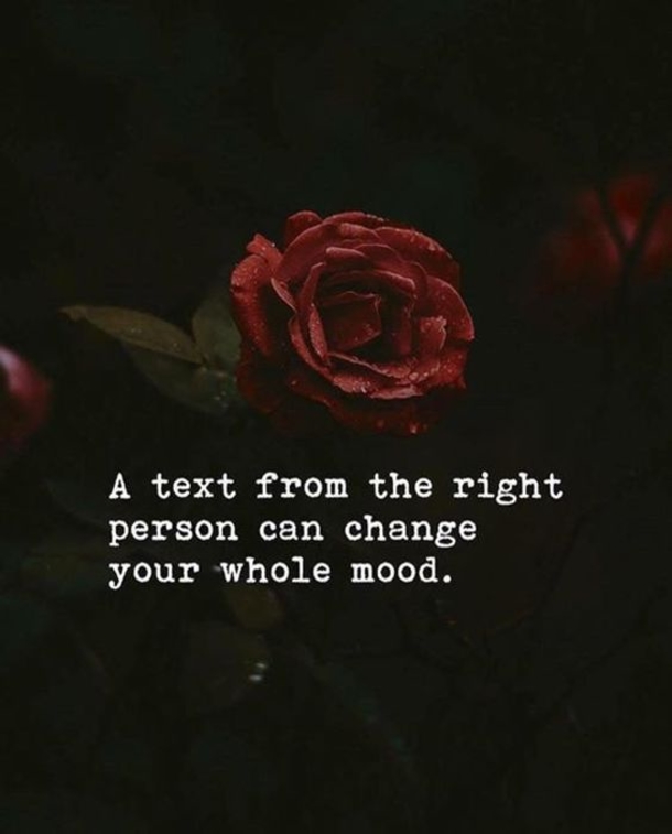 10 Inspiring Instagram Love Quotes & Sayings - picture 7