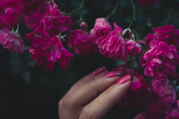 10 Inspiring Manicure Nail Ideas For Women - picture 6