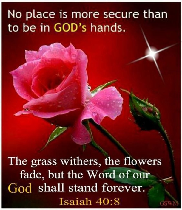 10 Inspiring Quotes To Celebrate The Wisdom Of God - picture 2
