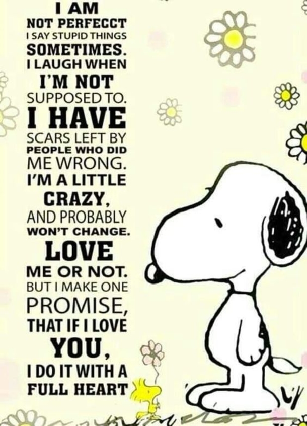 10 Inspiring Snoopy Quotes That Express Love - picture 8