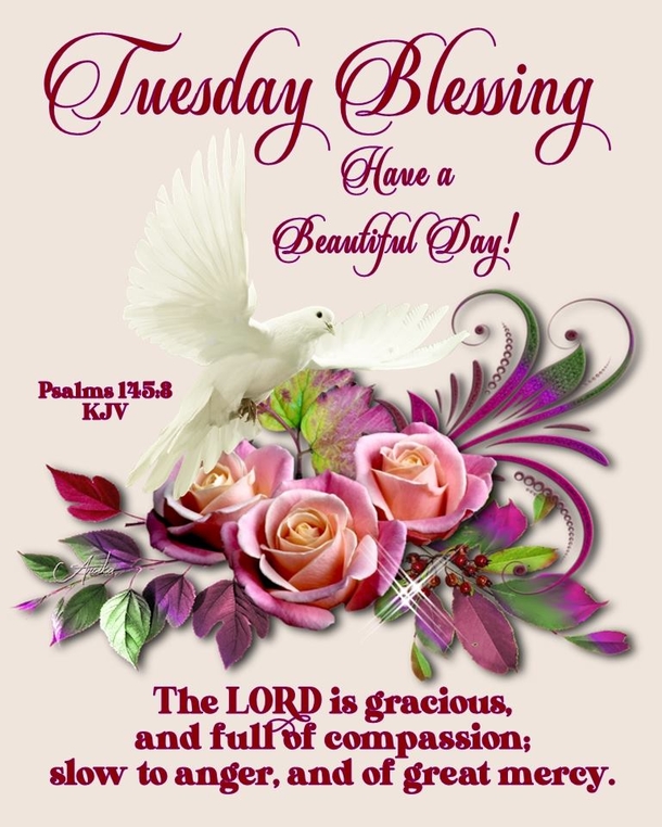 10 Inspiring Tuesday Blessing Scriptures And Quotes - picture 3