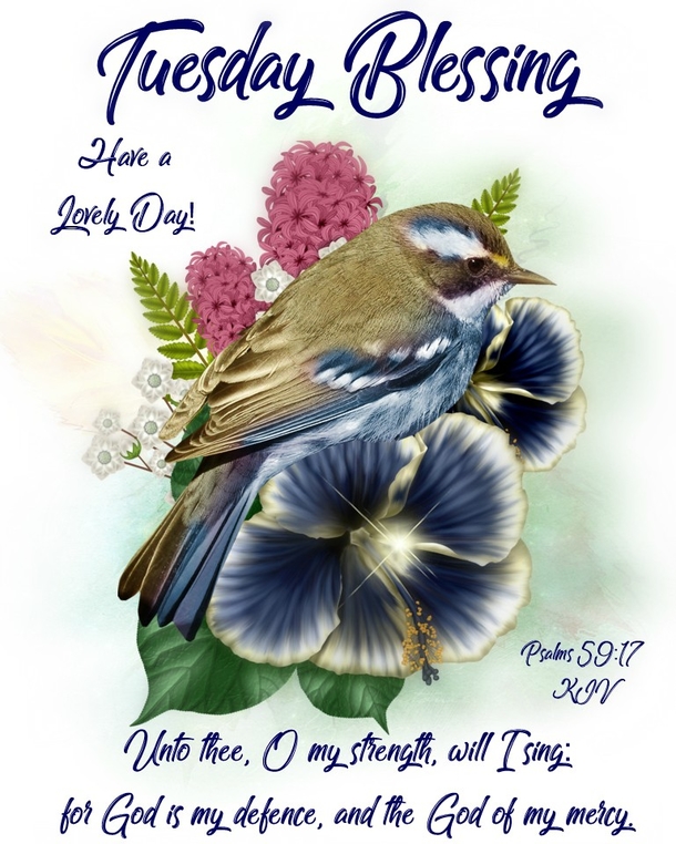 10 Inspiring Tuesday Blessing Scriptures And Quotes - picture 5