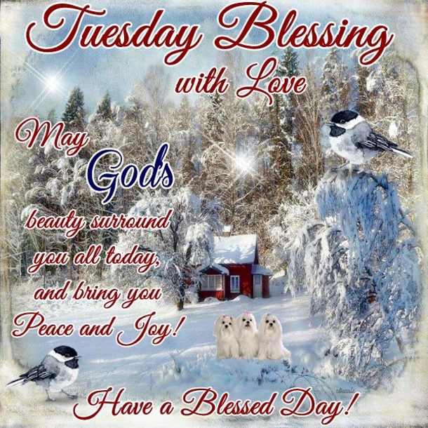 10 Inspiring Tuesday Blessing Scriptures And Quotes - picture 7