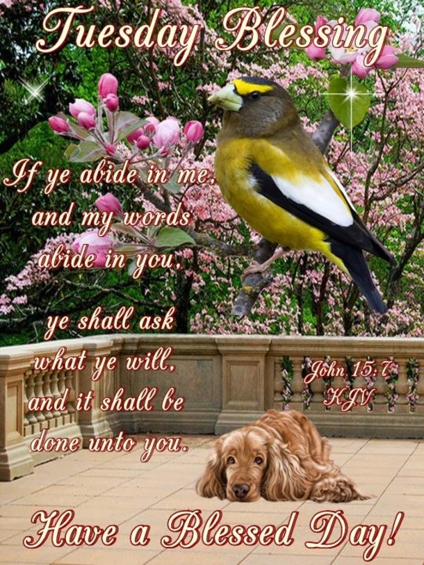 10 Inspiring Tuesday Blessing Scriptures And Quotes - picture 8