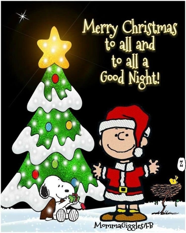 10 Inspiring & Beautiful Merry Christmas Good Night Quotes - picture 6