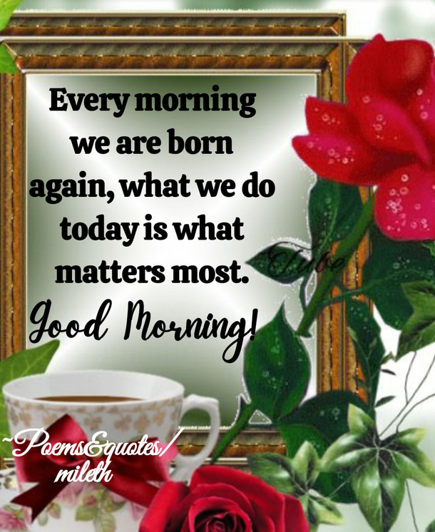 10 Inspiring & Blessed Good Morning Sayings - picture 2