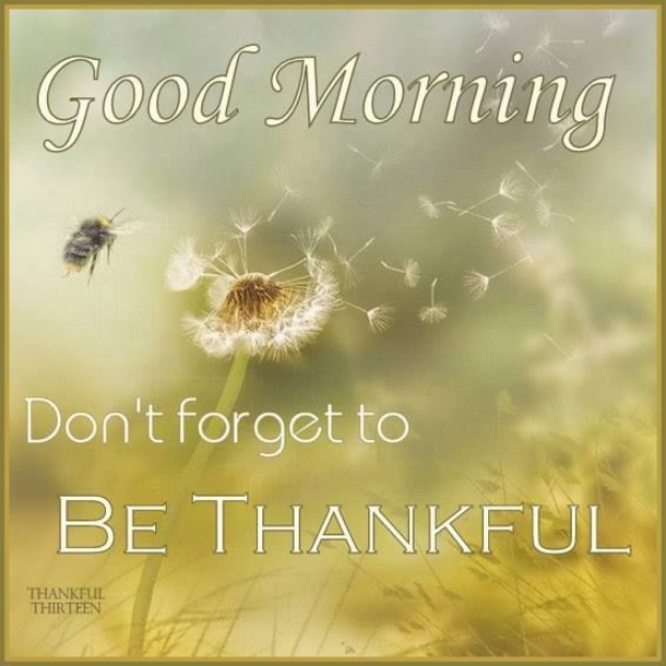 10 Inspiring & Motivating Quotes To Bring Out The Thankfulness Inside You - picture 11